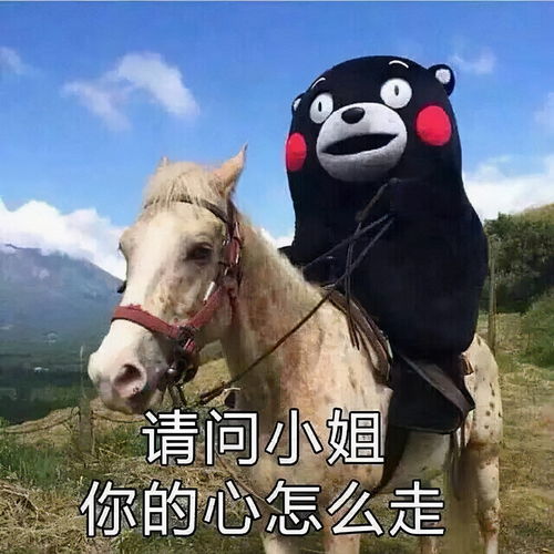 求熊本熊的超清图片!!!