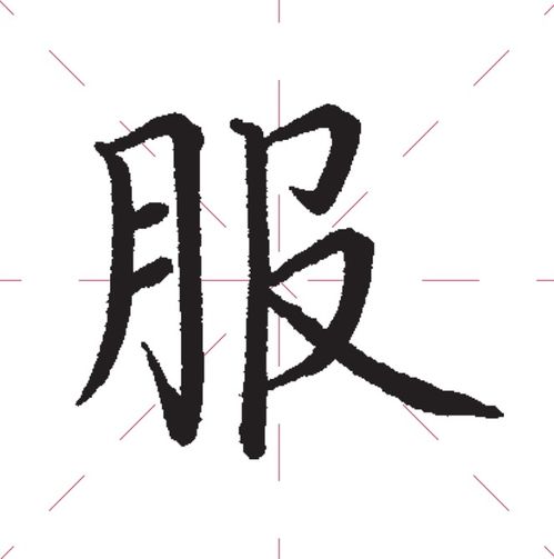 “月”字旁的字都有哪些?