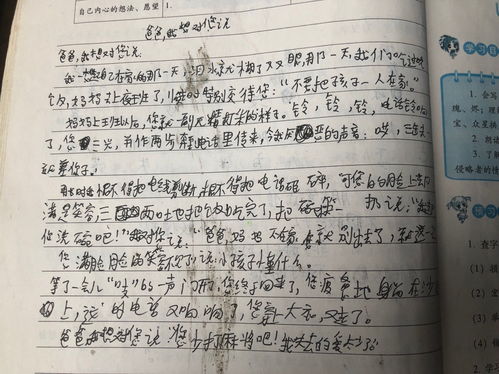 高中作文范文精选800字5篇