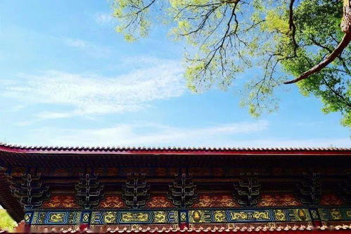 题破山寺后禅院破山寺就是江苏的什么地方，题破山寺后禅院作者