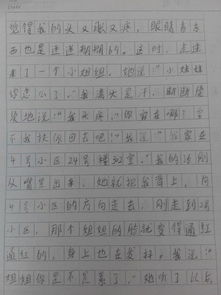 六年级作文大全500字左右，一到六年级作文大全