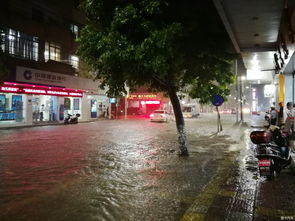 落雨大 水浸街歌词