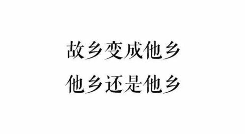 四年级我的新发现作文450字