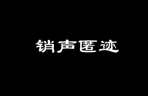 销声匿迹是什么意思解释一下，男生说销声匿迹是什么意思