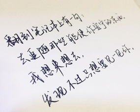 300字美文摘抄，300字美文摘抄加批注