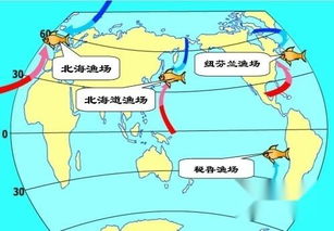 北海道渔场地理位置，北海道渔场成为世界著名渔场的原因是