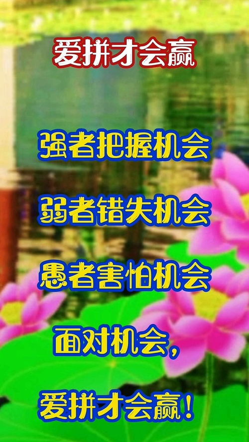 爱拼就会赢歌曲，爱拼就会赢演员表