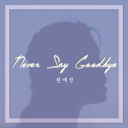 neversaygoodbye翻译成中文，neversaygoodbye中文版mv