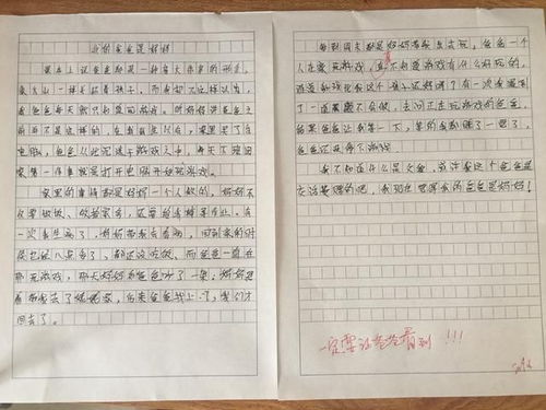 三年级优秀作文300字左右，小学生优秀作文300字左右