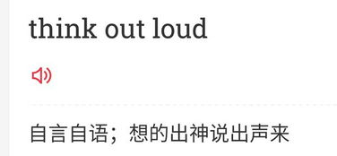 loud是什么意思车上的，enjoy是什么意思