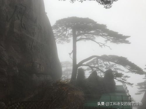 雨中登泰山原文，雨中登泰山朗读视频