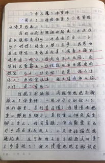 我也可以作文550字