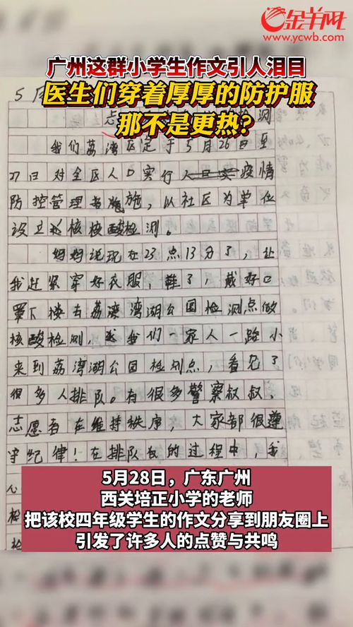 泪作文600字优秀作文，泪作文300字