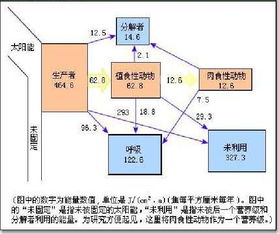 同化怎么理解，同化意味着什么