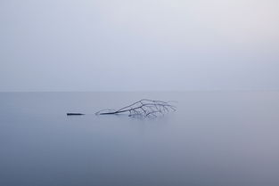 逝水流年，逝水汪曾祺