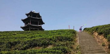 重庆荣昌三层岩风景区，荣昌三层岩农家乐