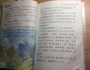 推荐一本好书作文500字，推荐一本好书作文西游记