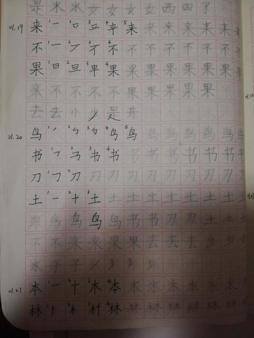 小学生新学期计划500字作文【五篇】