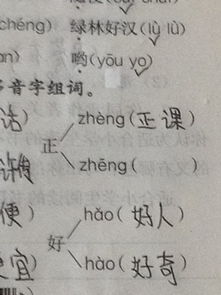 糊的多音字组词3个，糊的多音字组词语组词