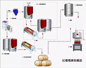 酿造酱油，酿造的拼音