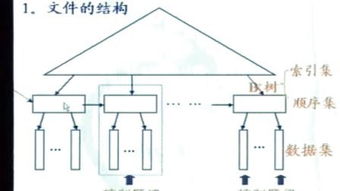 ship的复数