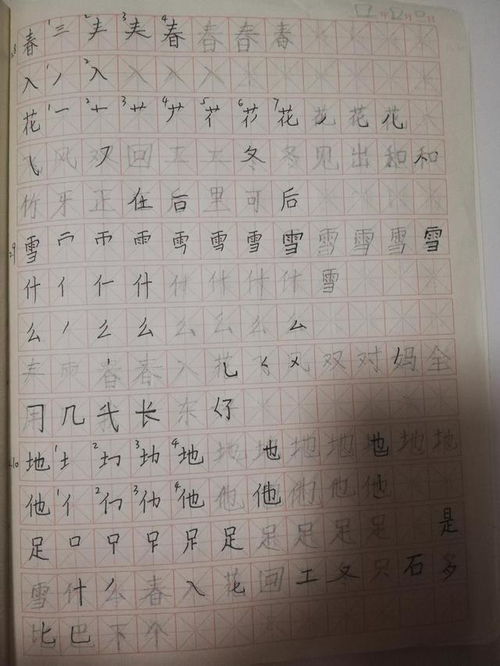 新学期的打算作文500字(精选5篇)