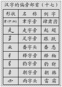 会字偏旁是什么