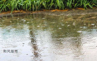 什么的细雨填空