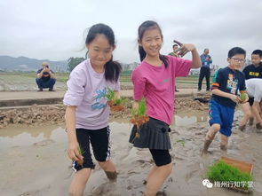 奔向田野是成语吗?