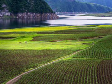 绿江村在哪个城市