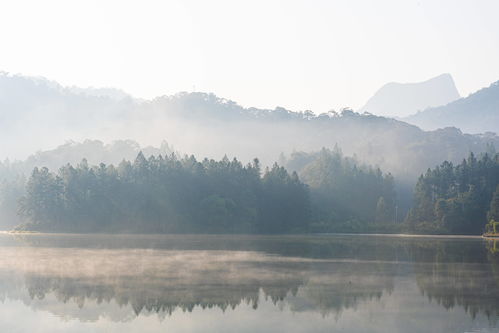 风景如画造句