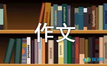 有趣的事情500字的初二作文