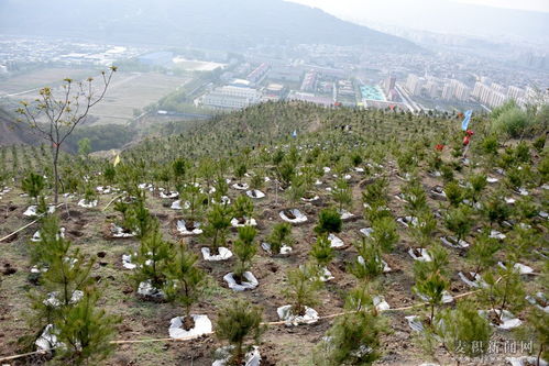 颍川在哪里?