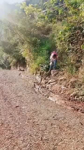 泥泞的拼音，泥泞的道路是指什么的道路