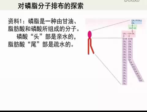 学科网高中生物必修二，学科网高中生物选修一