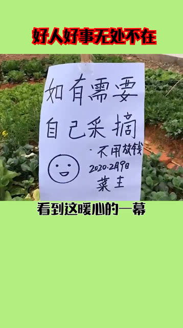 身边的好人好事作文