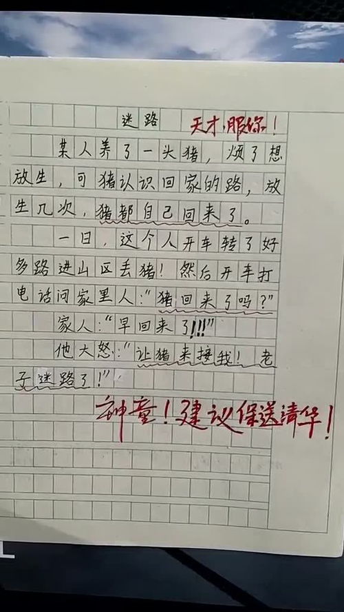 意外作文开头结尾优美段落，意外作文800字