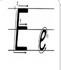 E的笔顺是什么?