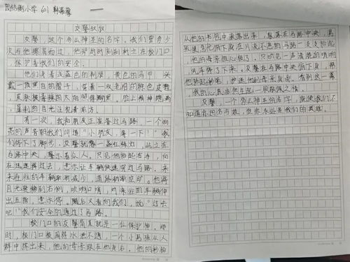 特殊的礼物作文