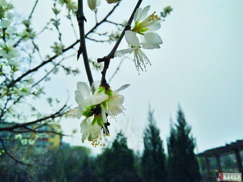 和风细雨的意思解释，和风细雨的意思和造句二年级