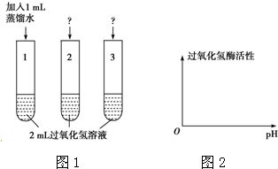 过氧化氢分解方程式是什么?