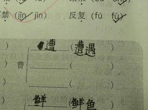 蔺什么意思?近义词和反义词是什么?英文翻译是什么?