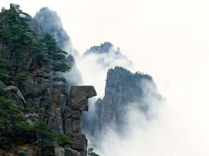 崇山峻岭哪个字错了，崇山峻岭近义词