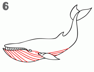 蓝鲸怎么画