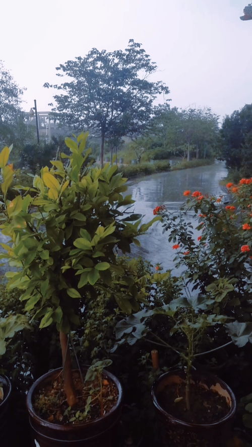 一场秋雨一场寒是什么意思?