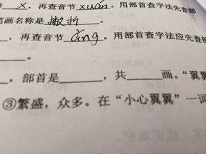 翼的部首是什么