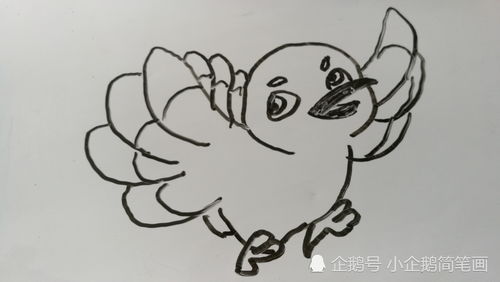 鸟的笔画顺序田字格