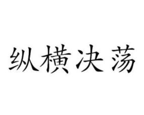 纵横决荡用来形容什么，纵横决荡造句