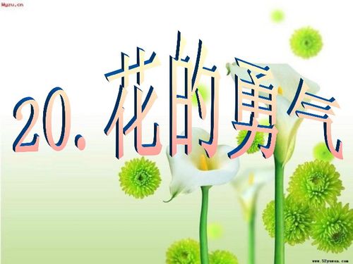 花的勇气的意思