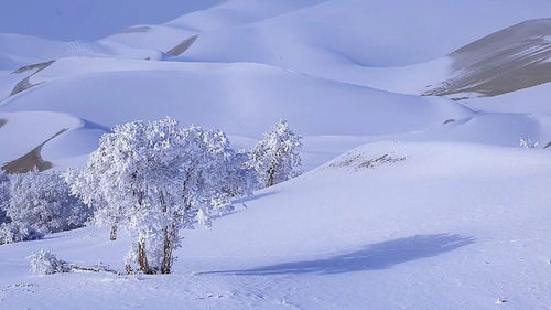 冰天雪地的意思